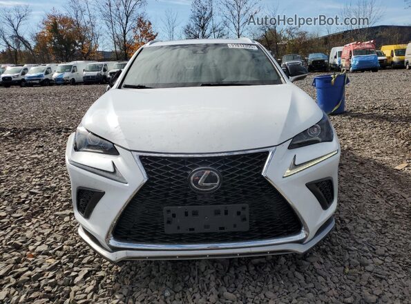 JTJBARBZXJ2166096 2018 LEXUS NX White Widok z przodu