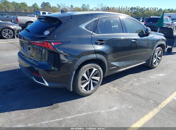 JTJBJRBZ1K2104331 2019 LEXUS NX 300H Black Tył prawy