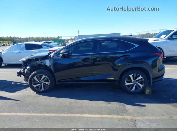 JTJBJRBZ1K2104331 2019 LEXUS NX 300H Black Widok wnętrza 360 stopni