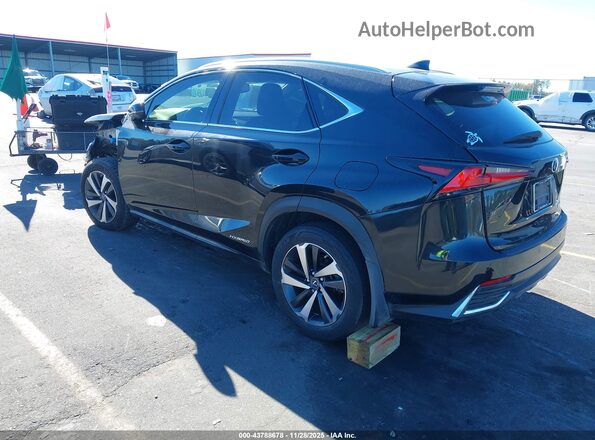 JTJBJRBZ1K2104331 2019 LEXUS NX 300H Black Tył lewy