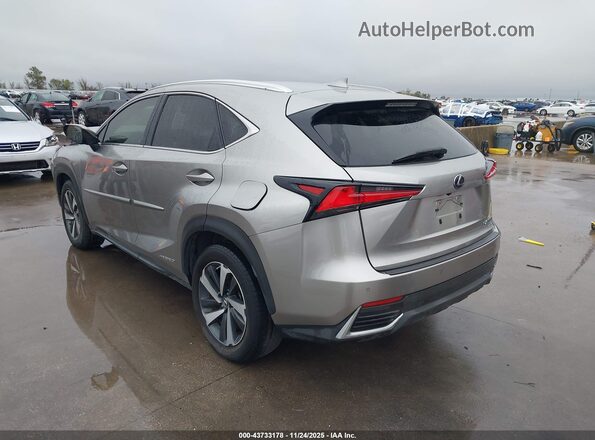 JTJBJRBZ6K2121741 2019 LEXUS NX 300H Gold Tył lewy
