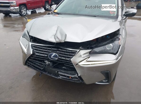 JTJBJRBZ6K2121741 2019 LEXUS NX 300H Gold Widok z przodu