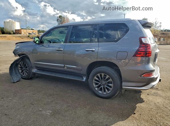 JTJBM7FX5H5167119 2017 LEXUS GX Gray უკანა მარცხენა