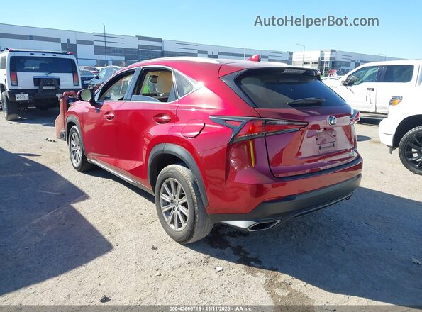 JTJDARBZ0L5020297 2020 LEXUS NX 300 Red Հետևի ձախ