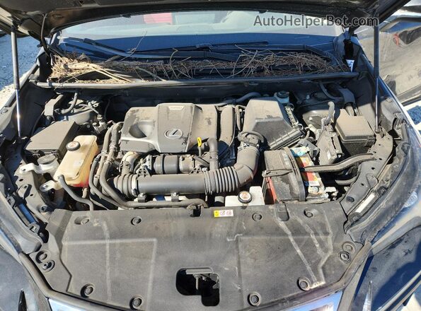 JTJDARBZ0M2198908 2021 LEXUS NX Черный Вид подкапотного пространства