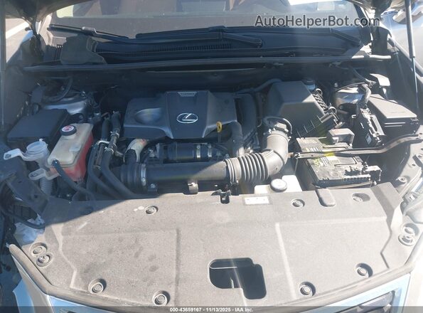 JTJDARBZ3M2188650 2021 LEXUS NX 300 Beige Հետևի տեսք