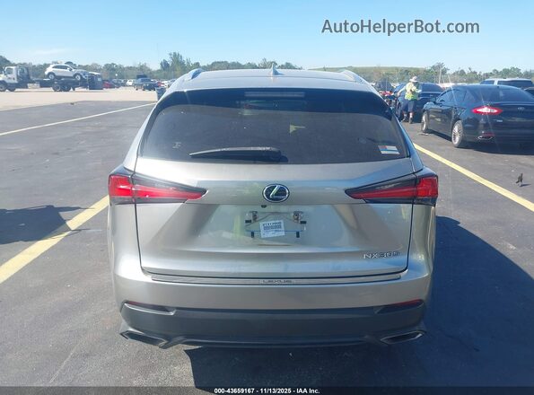 JTJDARBZ3M2188650 2021 LEXUS NX 300 Beige 