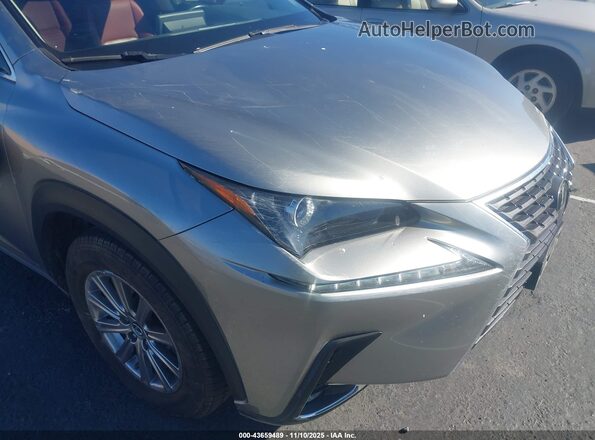 JTJDARBZ3M2192570 2021 LEXUS NX 300 Серебряный 