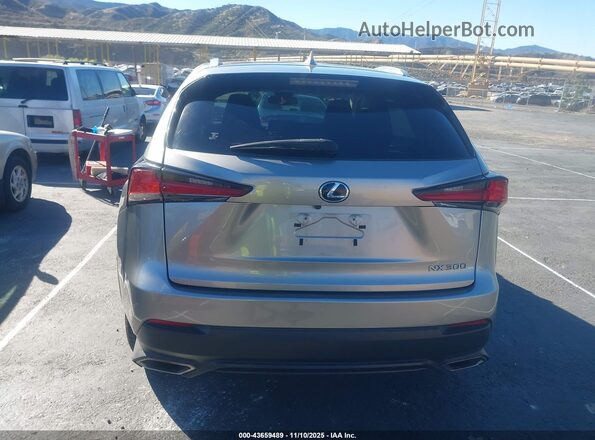 JTJDARBZ3M2192570 2021 LEXUS NX 300 Серебряный 