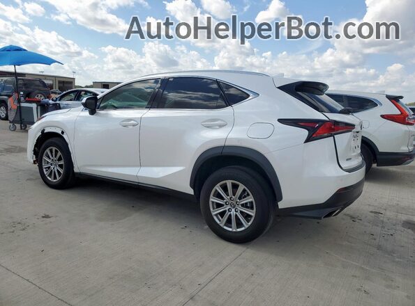 JTJDARBZ3M5029044 2021 LEXUS NX White Rear left