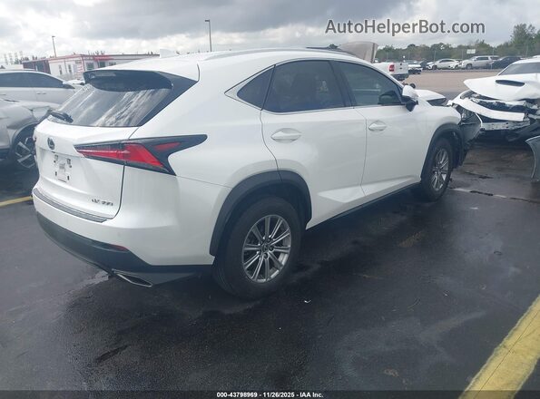 JTJDARBZ4M5020742 2021 LEXUS NX 300 White Հետևի աջ