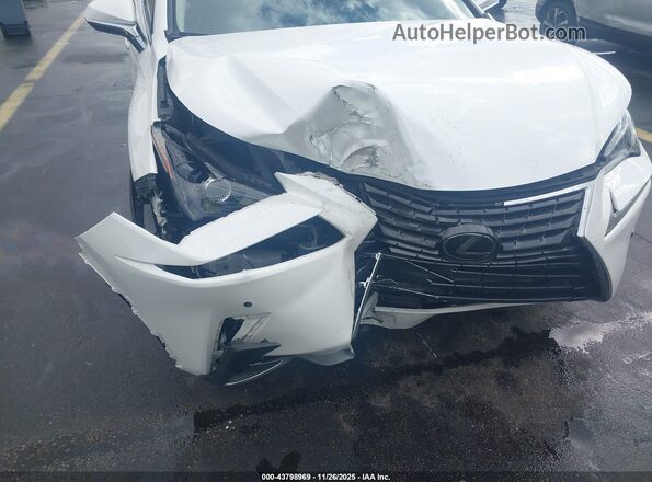JTJDARBZ4M5020742 2021 LEXUS NX 300 White Դիմացի տեսք