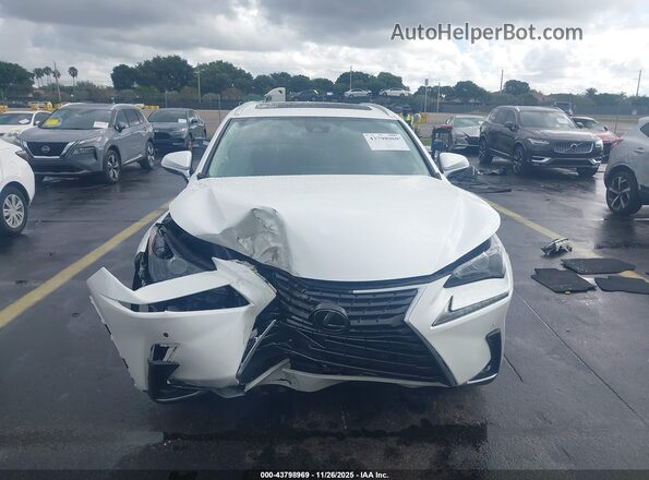 JTJDARBZ4M5020742 2021 LEXUS NX 300 White Սալոնի հետևի տեսք
