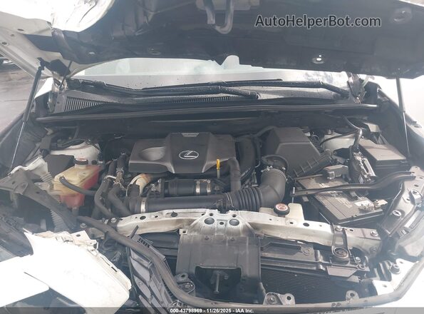 JTJDARBZ4M5020742 2021 LEXUS NX 300 White Հետևի տեսք