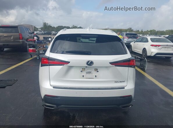 JTJDARBZ4M5020742 2021 LEXUS NX 300 White 