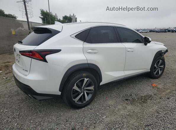 JTJDARBZ8L5003439 2020 LEXUS NX Белый Задняя правая четверть
