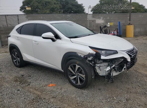 JTJDARBZ8L5003439 2020 LEXUS NX Белый Передняя правая четверть
