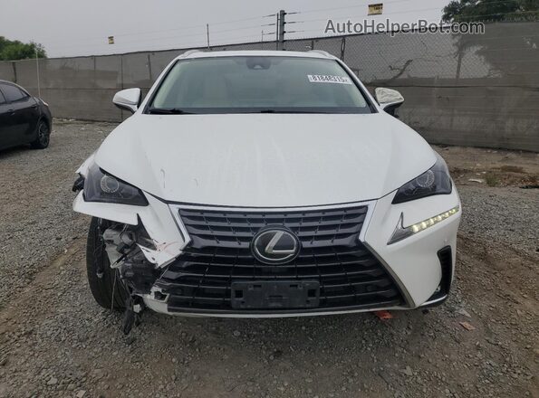 JTJDARBZ8L5003439 2020 LEXUS NX Белый Вид спереди