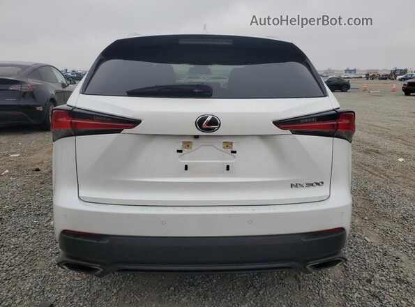 JTJDARBZ8L5003439 2020 LEXUS NX Белый Вид сзади