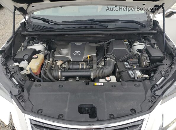 JTJDARBZ8L5003439 2020 LEXUS NX Белый Вид подкапотного пространства