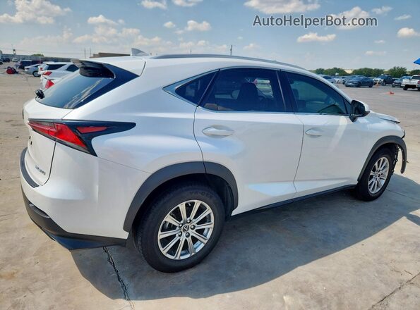 JTJDARBZ8L5011587 2020 LEXUS NX White უკანა მარჯვენა