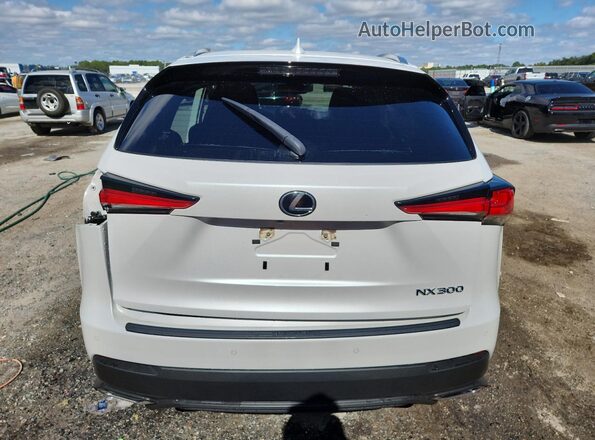 JTJDARBZ8L5015607 2020 LEXUS NX White უკანა ხედი