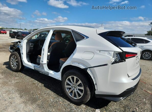 JTJDARBZ8L5015607 2020 LEXUS NX White უკანა მარცხენა
