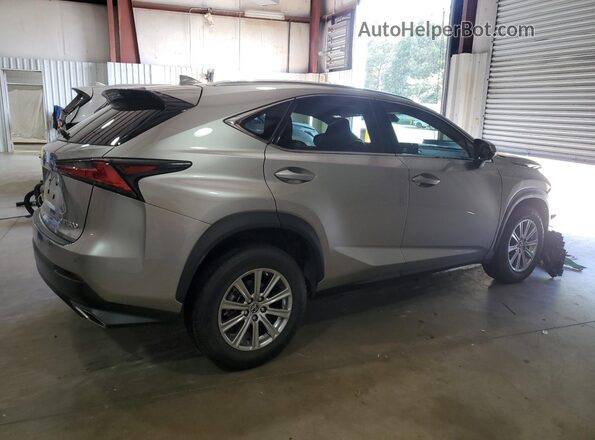 JTJDARBZ9L2167171 2020 LEXUS NX Silver უკანა მარჯვენა