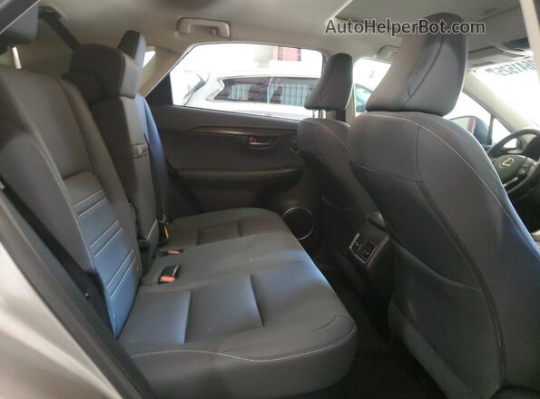 JTJDARBZ9L2167171 2020 LEXUS NX Silver უკანა სავარძლების ხედი