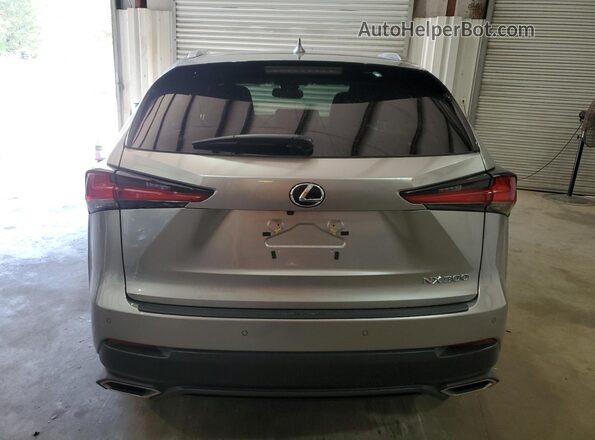 JTJDARBZ9L2167171 2020 LEXUS NX Silver უკანა ხედი