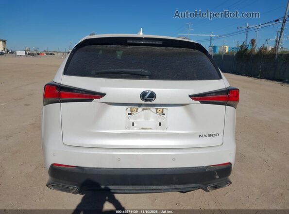 JTJDARBZXM5025279 2021 LEXUS NX 300 White 