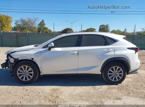 JTJDARBZXM5025279 2021 LEXUS NX 300 White 