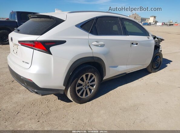 JTJDARBZXM5025279 2021 LEXUS NX 300 White Trasero derecho