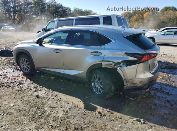 JTJDARDZ2L2219950 2020 LEXUS NX Silver Հետևի ձախ