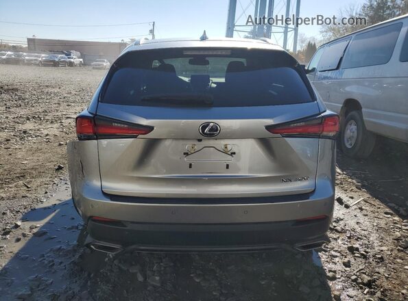 JTJDARDZ2L2219950 2020 LEXUS NX Silver Հետևի տեսք