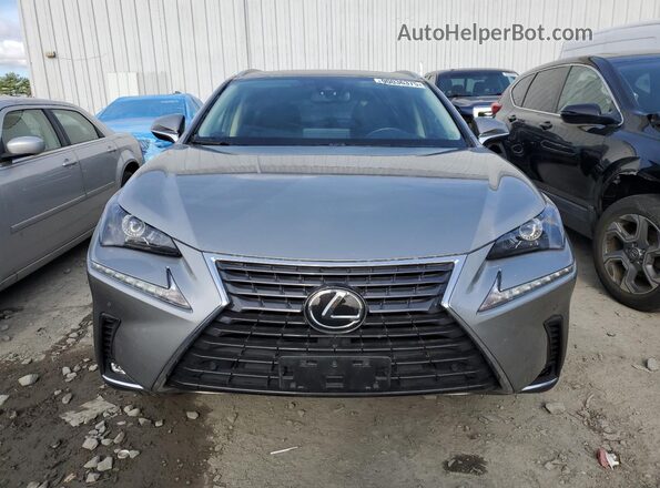 JTJDARDZ2L2219950 2020 LEXUS NX Silver Դիմացի տեսք