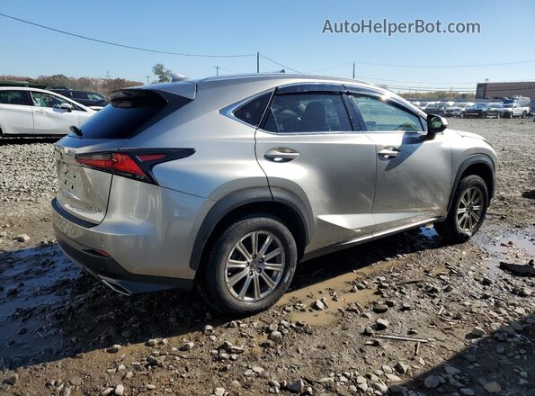 JTJDARDZ2L2219950 2020 LEXUS NX Silver Հետևի աջ
