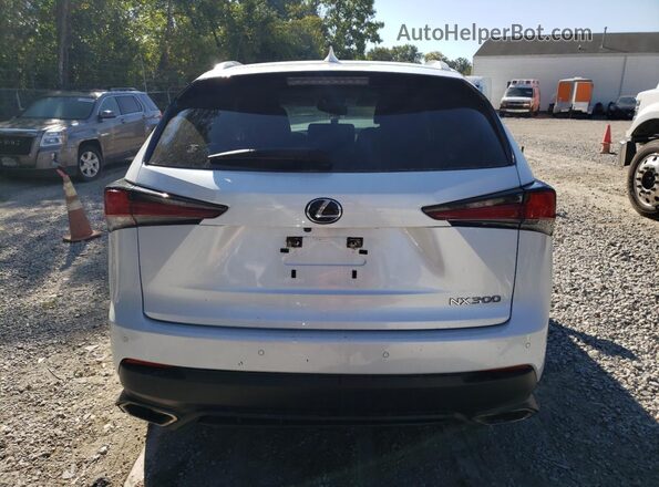 JTJDARDZ2L5011906 2020 LEXUS NX White Հետևի տեսք