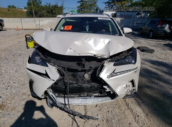 JTJDARDZ2L5011906 2020 LEXUS NX White Դիմացի տեսք