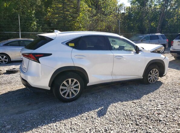 JTJDARDZ2L5011906 2020 LEXUS NX White Հետևի աջ