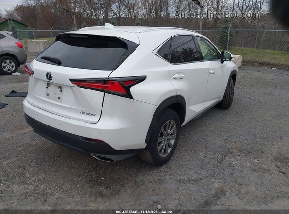JTJDARDZ2M5025581 2021 LEXUS NX 300 White Trasero derecho