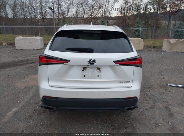 JTJDARDZ2M5025581 2021 LEXUS NX 300 White 