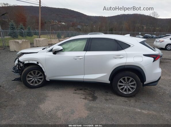 JTJDARDZ2M5025581 2021 LEXUS NX 300 White Vista interior de 360 grados