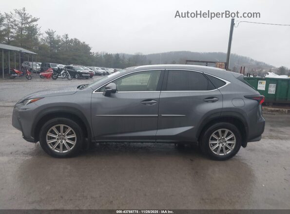 JTJDARDZ4L5005959 2020 LEXUS NX 300 Gray 