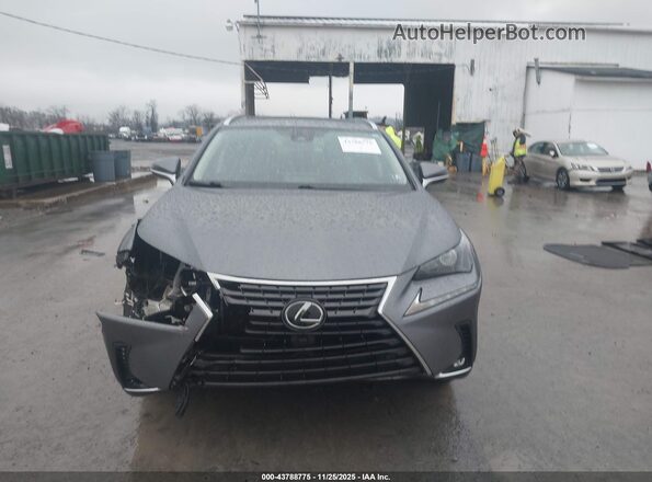 JTJDARDZ4L5005959 2020 LEXUS NX 300 Gray Widok wnętrza z tyłu