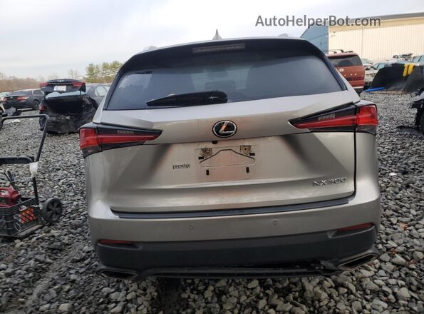 JTJDARDZ4L5017772 2020 LEXUS NX Silver Vista trasera