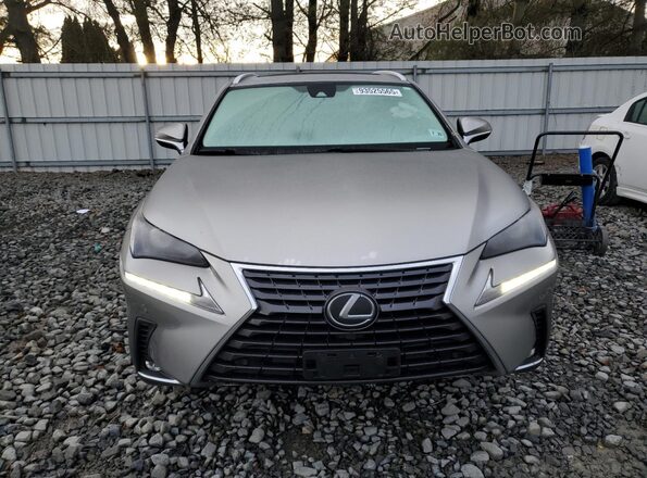 JTJDARDZ4L5017772 2020 LEXUS NX Silver Vista frontal