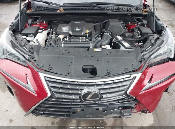 JTJDARDZ5M5028006 2021 LEXUS NX 300 Red Vista trasera