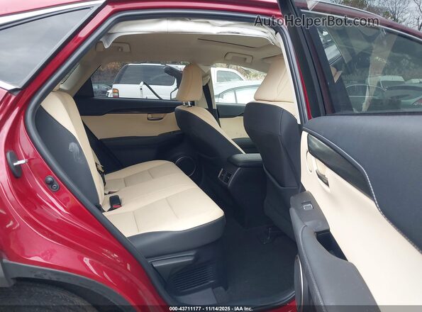 JTJDARDZ5M5028006 2021 LEXUS NX 300 Red Vista de la etiqueta del VIN