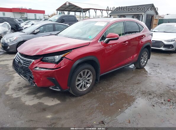JTJDARDZ5M5028006 2021 LEXUS NX 300 Red Vista tres cuartos delantera izquierda